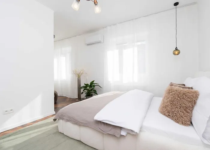 Amber Haven & Nordic Elegance *